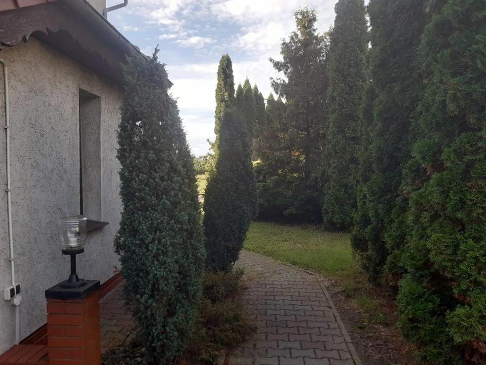 Noclegi Nowogrodziec Exterior foto